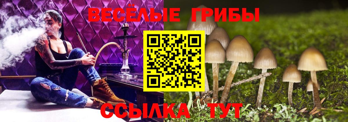 Псилоцибиновые грибы мухоморы  Псилоцибиновые грибы мицелий  Вход с VPN  Узловая 